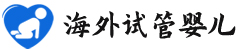 {韶关代怀孩子}